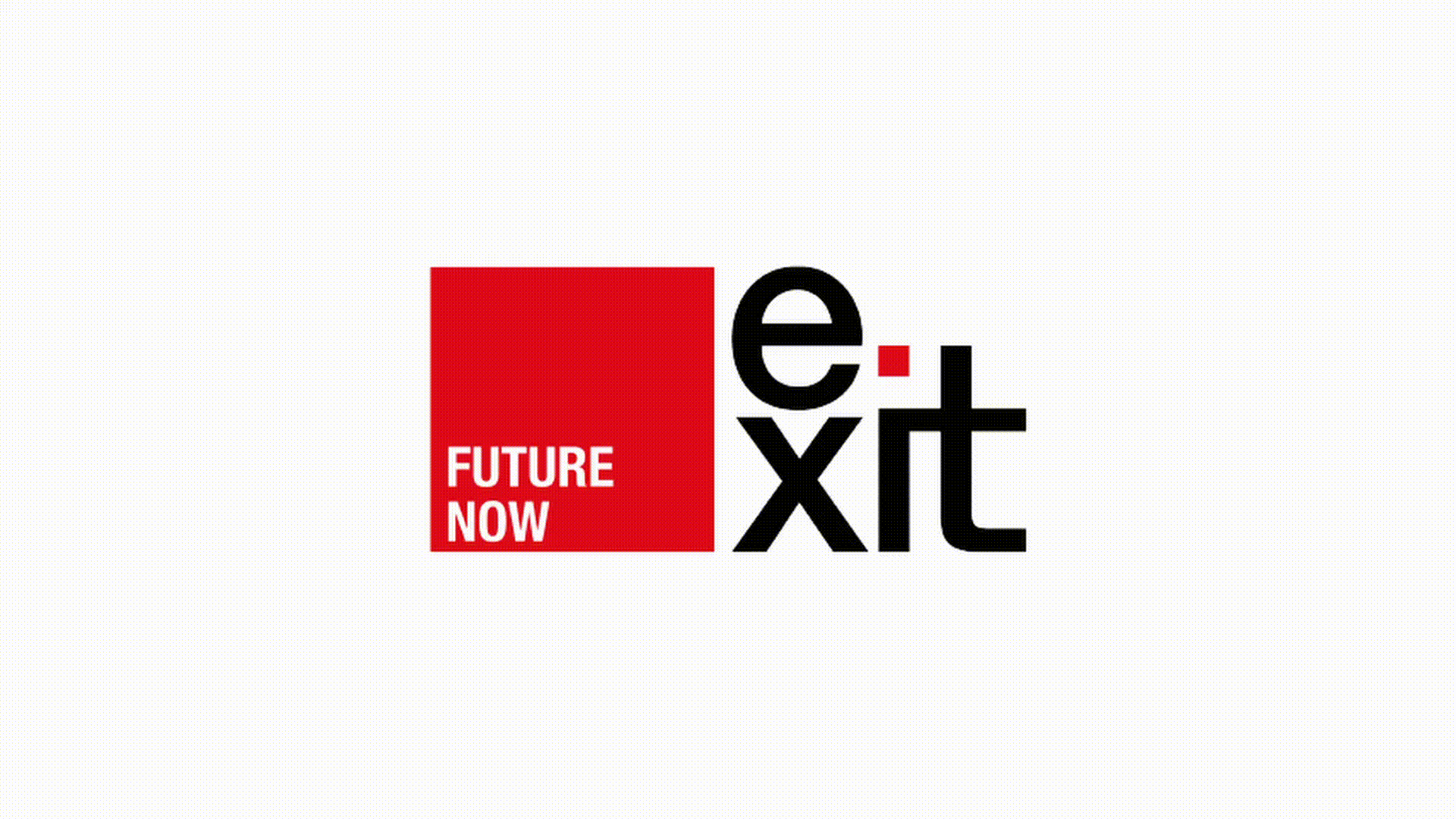 Web Fundación Exit